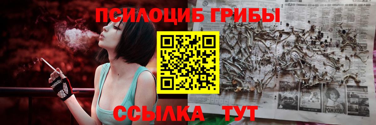 Галлюциногенные грибы GOLDEN TEACHER  Вход с VPN  Галлюциногенные грибы мухоморы  Дятьково 