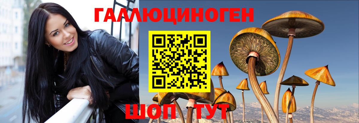 Галлюциногенные грибы MAGIC MUSHROOMS Дятьково